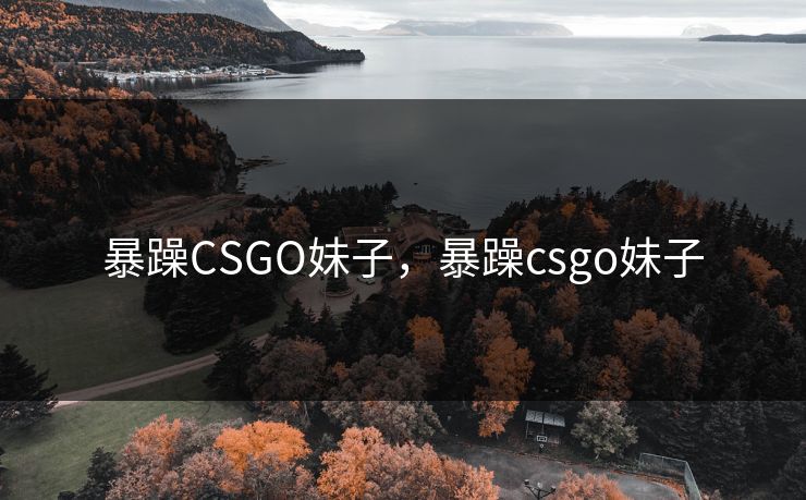 暴躁CSGO妹子，暴躁csgo妹子