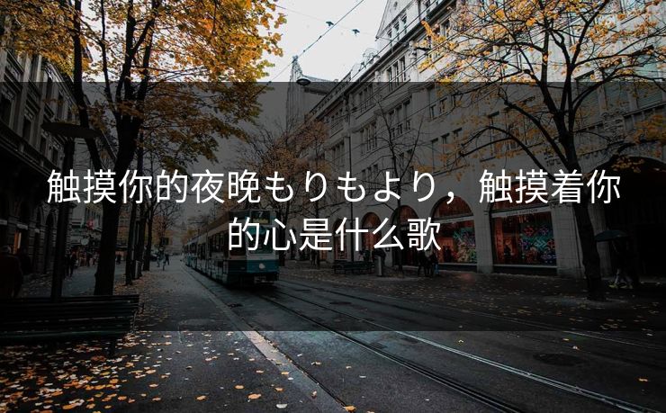 触摸你的夜晚もりもより，触摸着你的心是什么歌