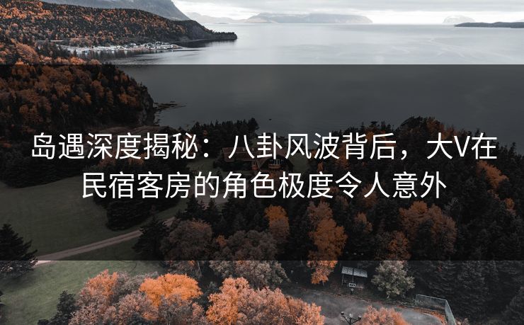 岛遇深度揭秘：八卦风波背后，大V在民宿客房的角色极度令人意外