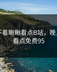 晚上睡不着瞅瞅看点B站，晚上睡不着看点免费95