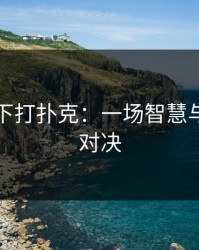 两人上下打扑克：一场智慧与策略的对决