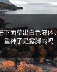 八重神子下面草出白色液体，原神八重神子是露脚的吗