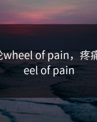 疼痛之轮wheel of pain，疼痛之轮wheel of pain