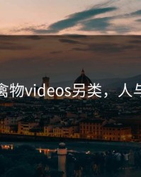人与禽物videos另类，人与畜禽