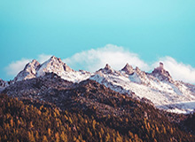 原神申鹤腿法娴熟脚法，原神申鹤腿法娴熟脚法漫画