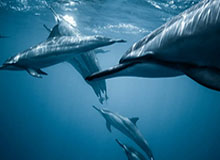 晚上一个人偷偷看的B站APP,免费b站看大片真人电视剧在线