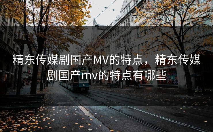 精东传媒剧国产MV的特点，精东传媒剧国产mv的特点有哪些