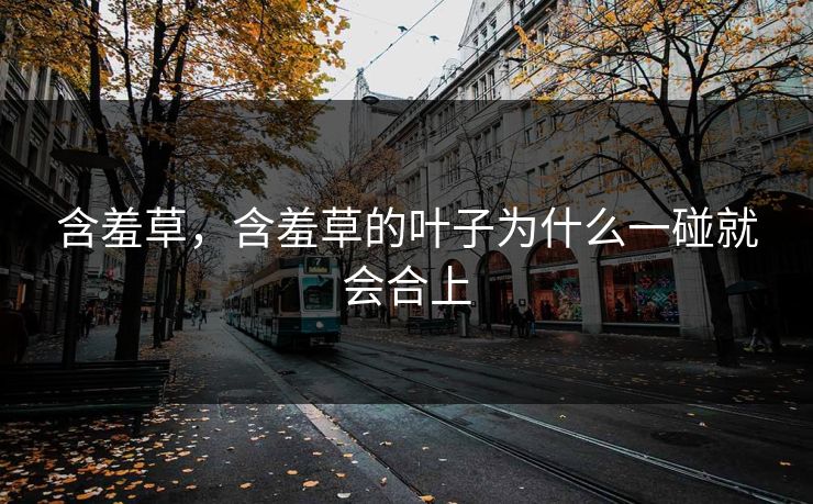 含羞草，含羞草的叶子为什么一碰就会合上